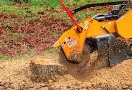 Best Aeration Services  in Bushnell, IL