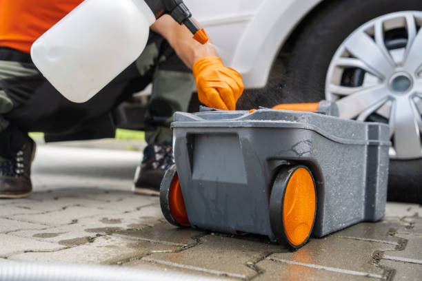 How Our Tree Care Process Works  in  Bushnell, IL